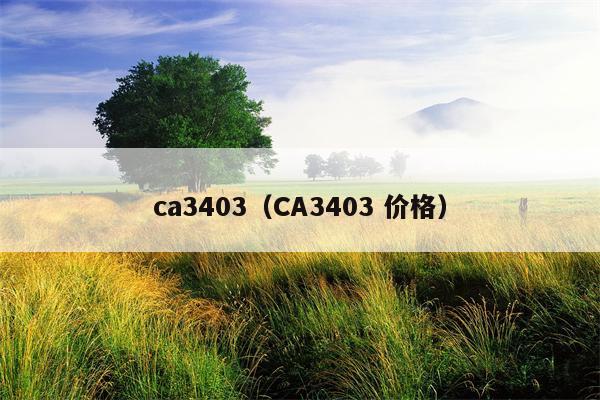 ca3403（CA3403 价格）