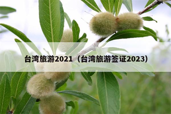 台湾旅游2021（台湾旅游签证2023）